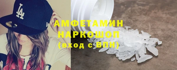 прущие грибы Пересвет