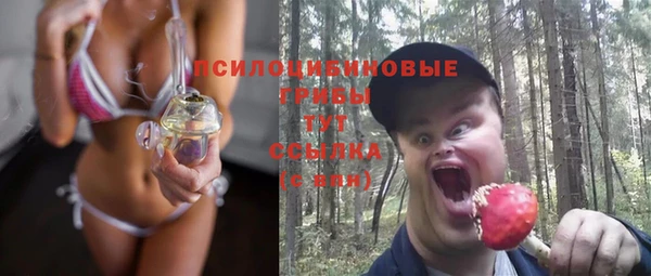 прущие грибы Пересвет